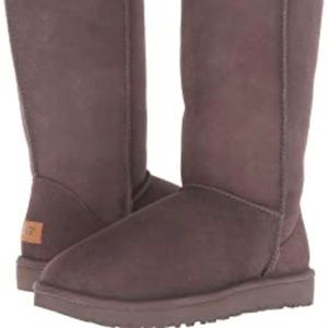 Brown Classic Tall Ugg Boots Size 8